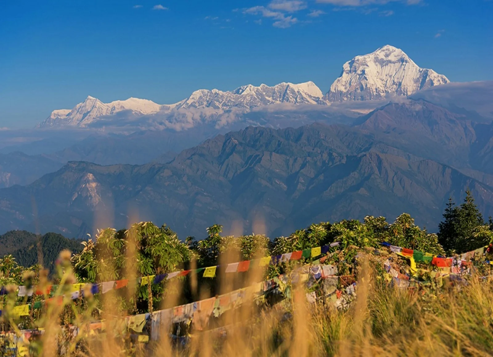 Sunrise view from Poon Hill across Annapurna and Dhaulagiri Himalayan peaks